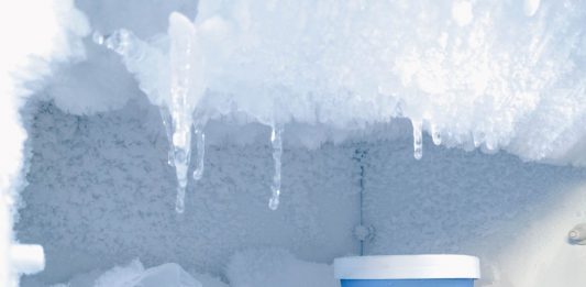 המזווה, המקפיא ומה שביניהם